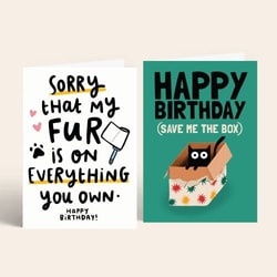 Example card for From the Cat